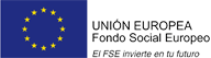 El Fondo Social Europeo cofinancia, junto al Servicio P�blico de Empleo Estatal y a las cuotas de formaci�n que realiza la Seguridad Social, las pol�ticas de formaci�n profesional continua que se llevan a cabo para la mejora de la competitividad de las empresas y los trabajadores.
